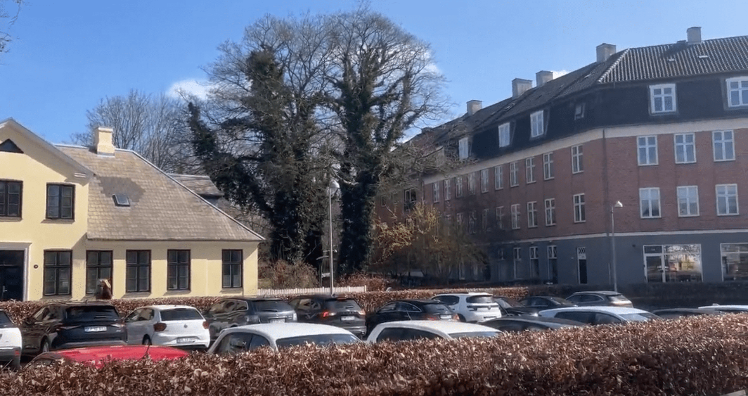 LyngbyHovedgade 9C, Tandlæge Jakob Kihl